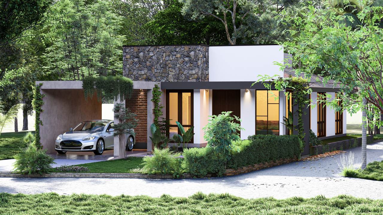 project-img